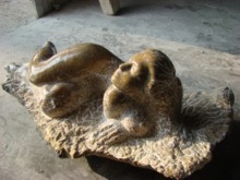 Afrikanerin, 2007